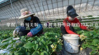 掌握：格列美脲、格列齐特等降糖药10大注意事项，更