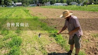 食神酱做法