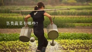 茎类蔬菜有哪些?