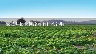 农民种植大棚政府有什么补贴