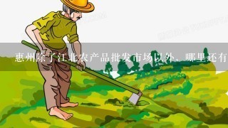 惠州除了江北农产品批发市场以外，哪里还有蔬菜批发