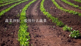 蔬菜沙拉1般用什么蔬菜