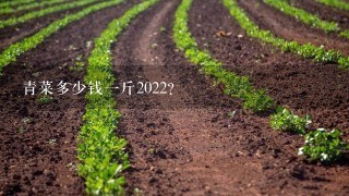 青菜多少钱1斤2022？