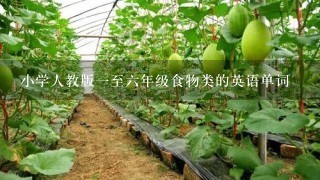 小学人教版1至6年级食物类的英语单词