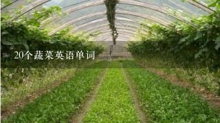 20个蔬菜英语单词