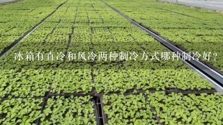 冰箱有直冷和风冷两种制冷方式哪种制冷好？