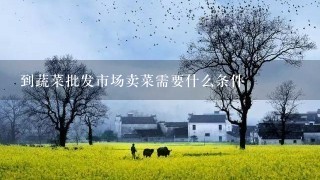 到蔬菜批发市场卖菜需要什么条件