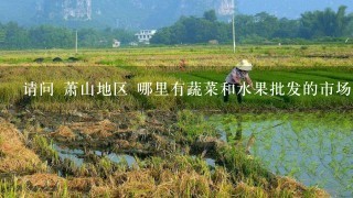 请问 萧山地区 哪里有蔬菜和水果批发的市场 求最便宜的批发市场 想开个蔬菜水果店 求大师指点