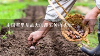 中国哪里是最大的蔬菜种植基地？