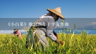 《小白菜》歌词图片于学友作曲