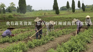 我有蔬菜货源，想在松江叶榭浦南农贸批发市场租个临时摊位，需要怎么做