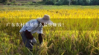 广东农村养殖什么最快赚钱？