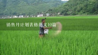 销售月计划表格范文10篇