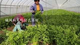 痛风病人吃什么菜好