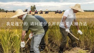 我是遂宁的 请问建什么样的蔬菜大棚合适