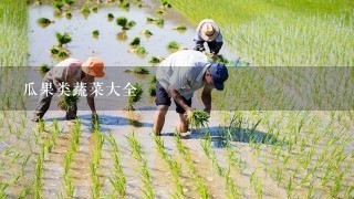 瓜果类蔬菜大全