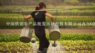 中国供销农产品批发市场控股有限公司在500强企业排名劳几名