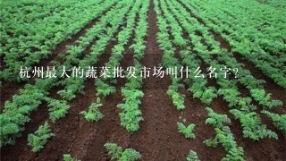 杭州最大的蔬菜批发市场叫什么名字？