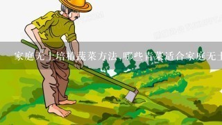 家庭无土培植蔬菜方法,哪些青菜适合家庭无土种植