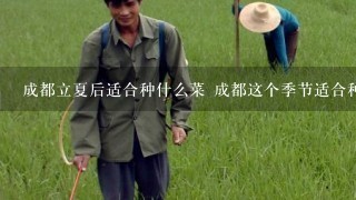 成都立夏后适合种什么菜 成都这个季节适合种什么蔬菜