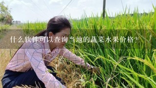 什么软件可以查询当地的蔬菜水果价格？