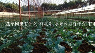 蔬菜园里有什么 有蔬菜 水果园里有什么 有水果 这两句用韩语怎么说 不要翻译器 在线等 谢谢