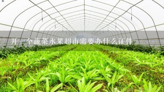 开1个蔬菜水果超市需要办什么证件