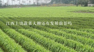 江西上饶蔬菜大棚还有发展前景吗