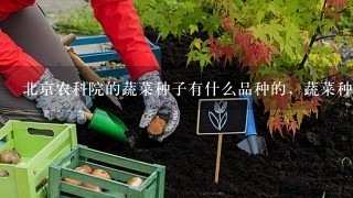 北京农科院的蔬菜种子有什么品种的，蔬菜种子哪里有卖的
