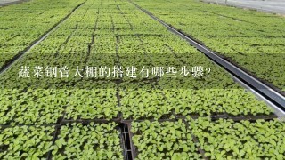 蔬菜钢管大棚的搭建有哪些步骤？