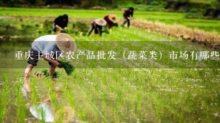 重庆主城区农产品批发（蔬菜类）市场有哪些？
