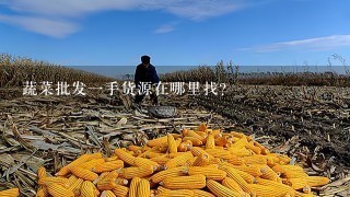 蔬菜批发1手货源在哪里找?