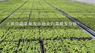 王旗营蔬菜批发市场大白菜批发价格?