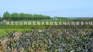 从北京站到新发地水果批发市场打的要多少钱？