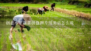 创意水果蔬菜拼盘图片用英语怎么说