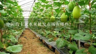中国的十大水果批发市场有哪些？