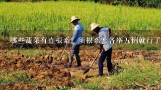 哪些蔬菜有直根系、须根系？各举5例就行了.