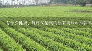 有什么健康、好吃又清爽的凉菜调味料推荐吗？