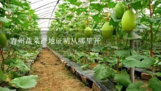 青州蔬菜产地证明从哪里开