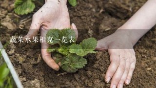 蔬菜水果相克1览表