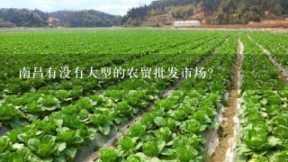南昌有没有大型的农贸批发市场？