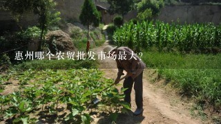 惠州哪个农贸批发市场最大？