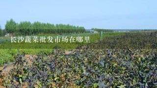 长沙蔬菜批发市场在哪里