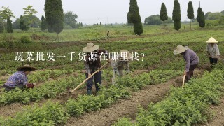 蔬菜批发1手货源在哪里找？