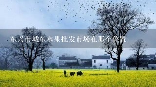 东兴市城东水果批发市场在那个位置