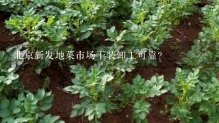 北京新发地菜市场干装卸工可靠？
