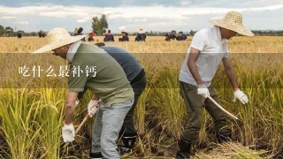 吃什么最补钙