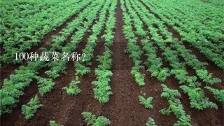 100种蔬菜名称？