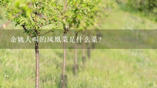 余姚人叫的凤凰菜是什么菜？