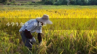 小学生食堂1周食谱